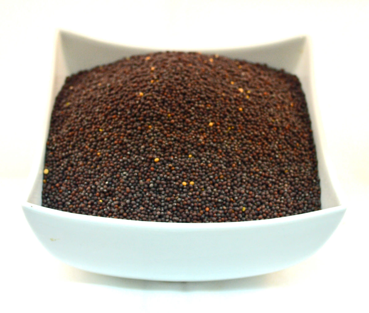 MUSTARD SEEDS BLACK